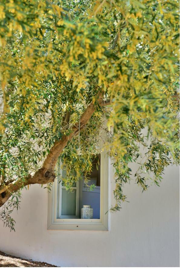 Apartamento Douskos Beach House Hidra Exterior foto